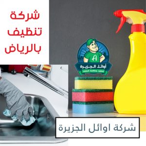 شركة تنظيف منازل بالرياض